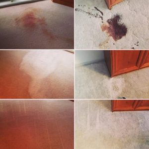 Easy Way to Remove Blood Stain from Carpet